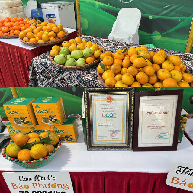 Bao Phuong Organic Orange - OCOP product certified, affirming the quality of Vietnamese agricultural products from Ha Giang land. Photo: Ngoc Mai