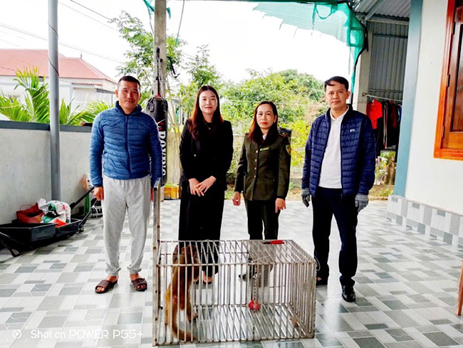 Rare golden monkey handed over to functional forces. Photo: Center for Restoration, Conservation and Development of Organisms.