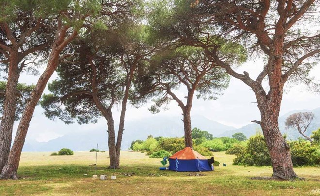 Should spend weekend time with family. Photo: Thuy Duong