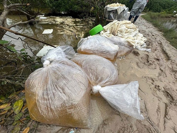 So dau tran ra moi truong se duoc thu gom, cho den Nha may loc dau Dung Quat de xu ly. Anh: Vien Nguyen