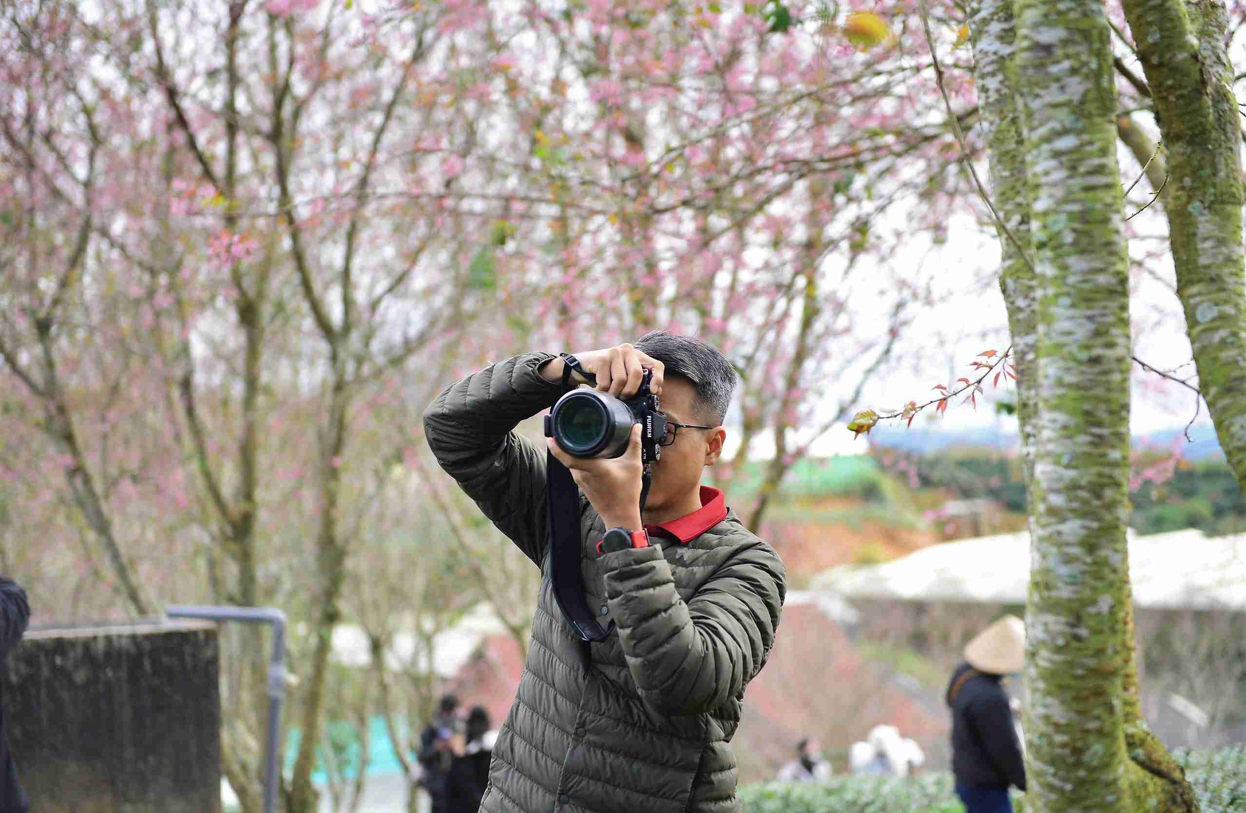 Mai anh dao bung no thu hut nhieu tay may tim ve doi che Cau Dat san anh. Anh: Phuc Khanh 