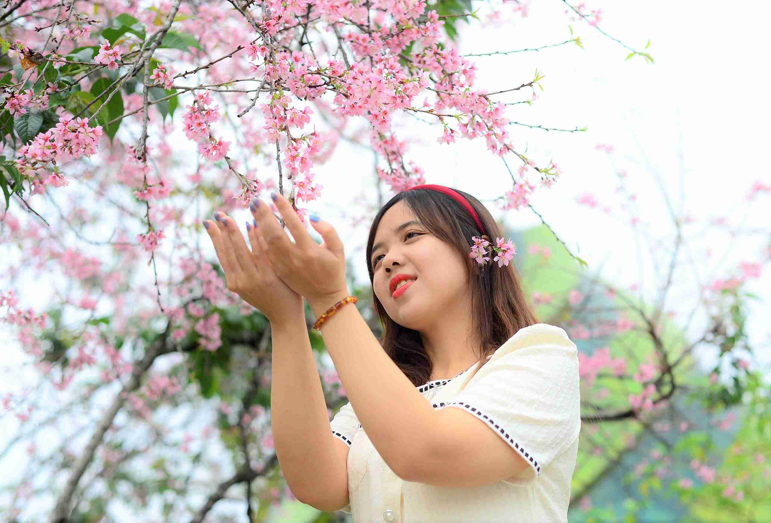 Nu du khach thich thu, dam say chup hinh cung mai anh dao Da Lat dang no ro. Anh: Phuc Khanh 