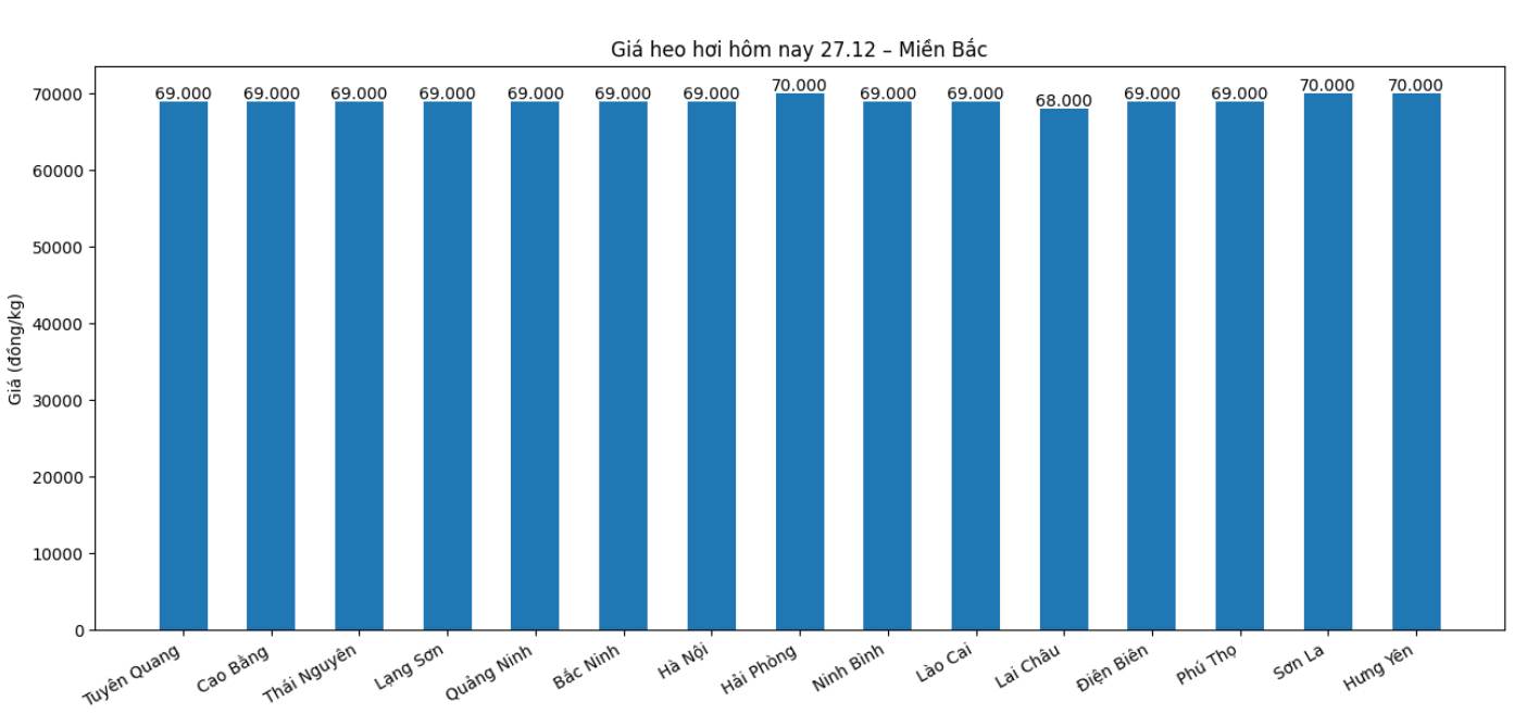 Gia heo hoi hom nay 27.12 tai khu vuc mien Bac. Do hoa: Thuy Linh