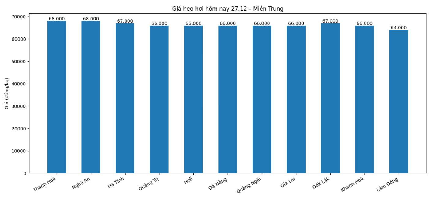 Gia heo hoi hom nay 27.12 tai khu vuc mien Trung. Do hoa: Thuy Linh
