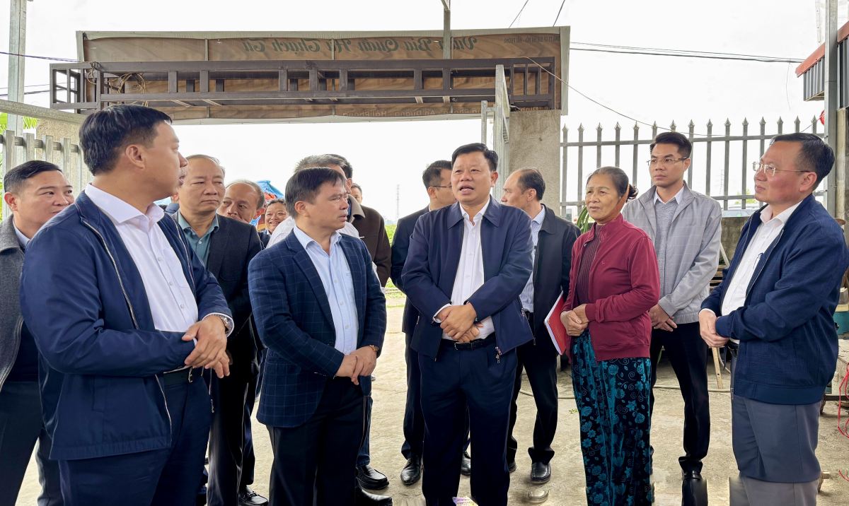 Pho Chu tich UBND thanh pho chi dao cac dia phuong tap trung giai phong mat bang, hoan thanh trong thang 1.2026. Ảnh: Cong TTDT Hai Phong