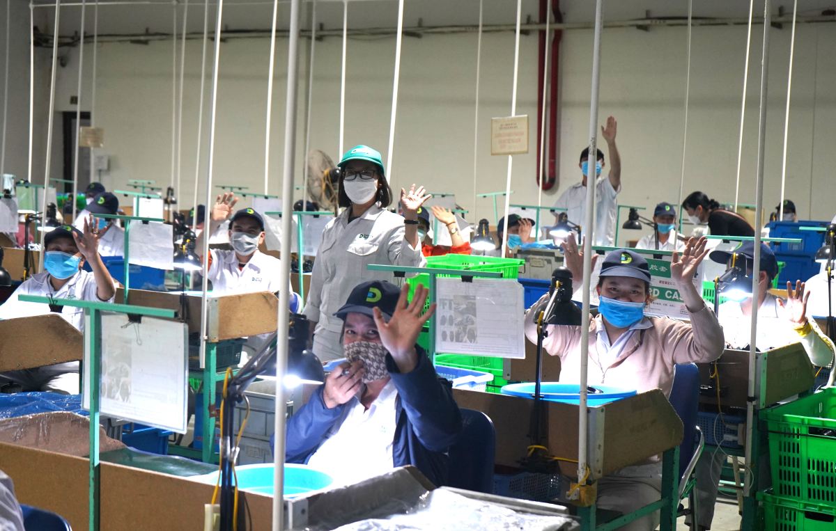 The average temperature in Hai Phong increased compared to 2025. Photo: Mai Dung