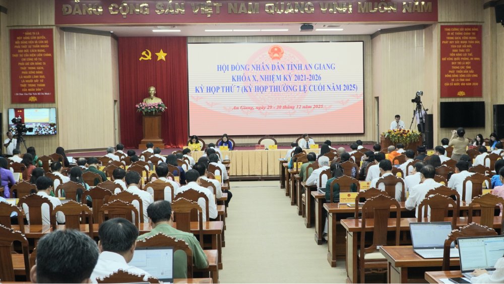 There are 207 petitions from voters before and after the regular meeting in mid-2025. Photo: Nguyen Anh