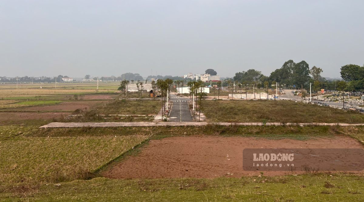 Hien trang khu dat dau gia tai . Anh: Huu Vu