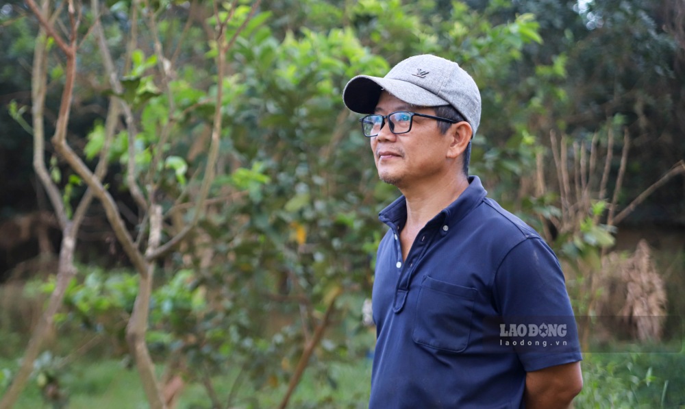 “Chua kip vui mung duoc mua vu truoc thi tai hoa ap toi. Cay chet nhieu the nay thi sang nam khong biet lay gi thu hoach. So canh duoc chiet cung chet, chung toi dang gap kho ve giong cay con, mong duoc cap tren quan tam ho tro” - ong Kiet bay to.