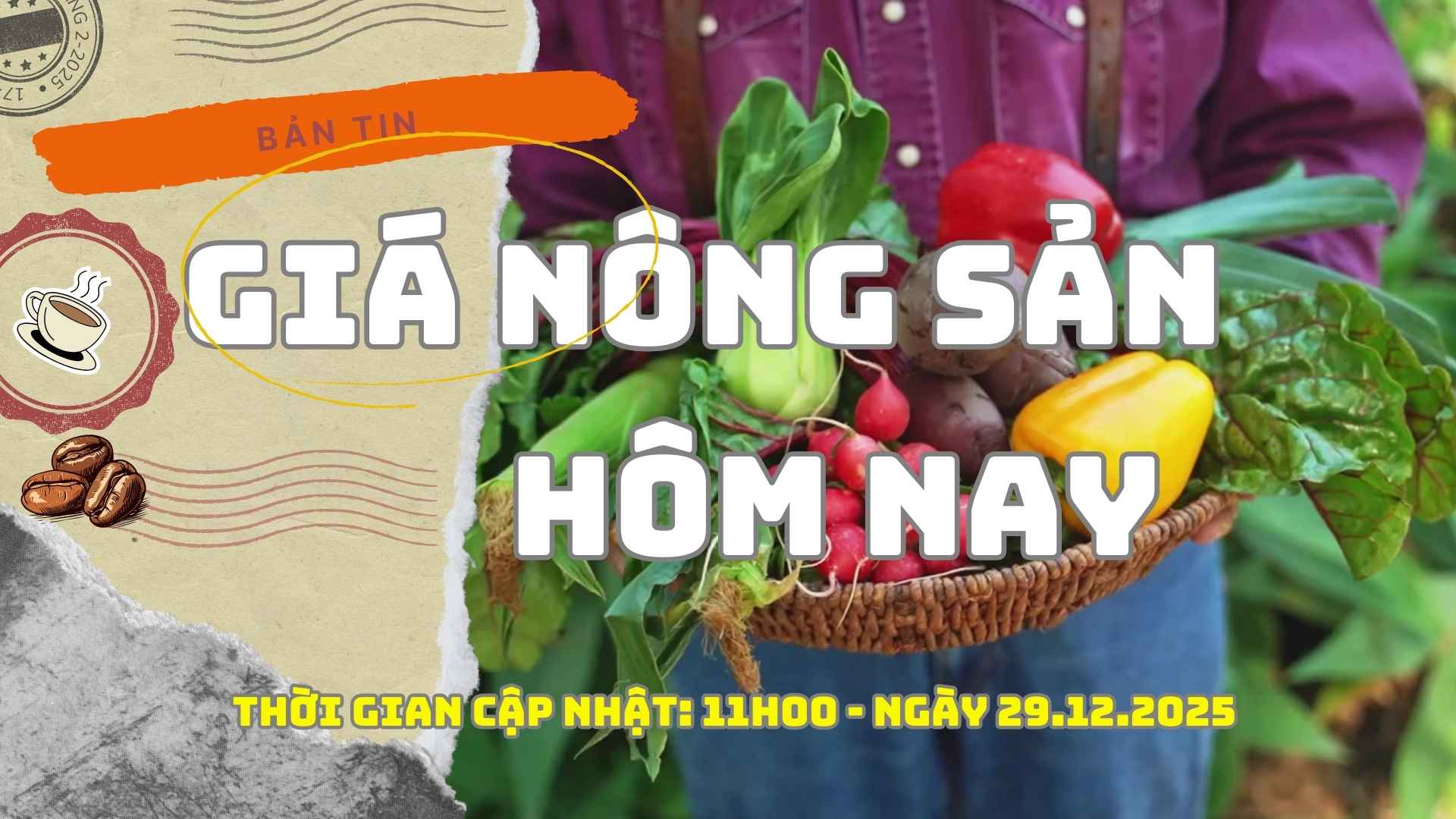 Agricultural product prices today, December 29th: Coffee sinks into red