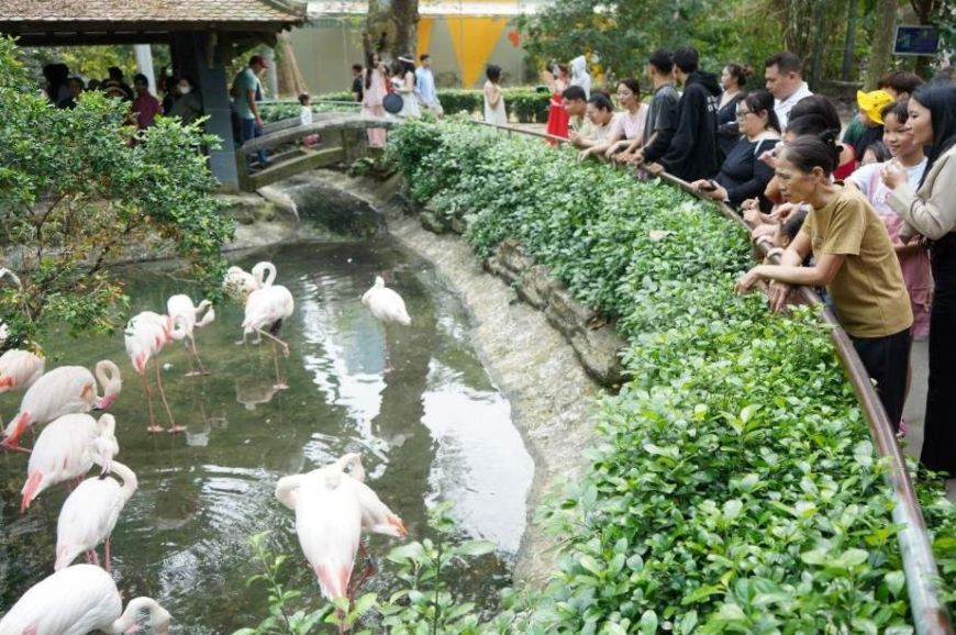 Ciudad Ho Chi Minh celebra bulliciosamente el Año Nuevo 2026