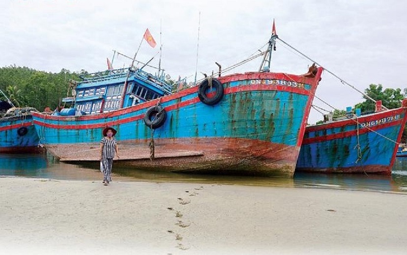 Quang Ngai proposes policies to support fishing vessels that no longer need to fish. Photo: Vien Nguyen
