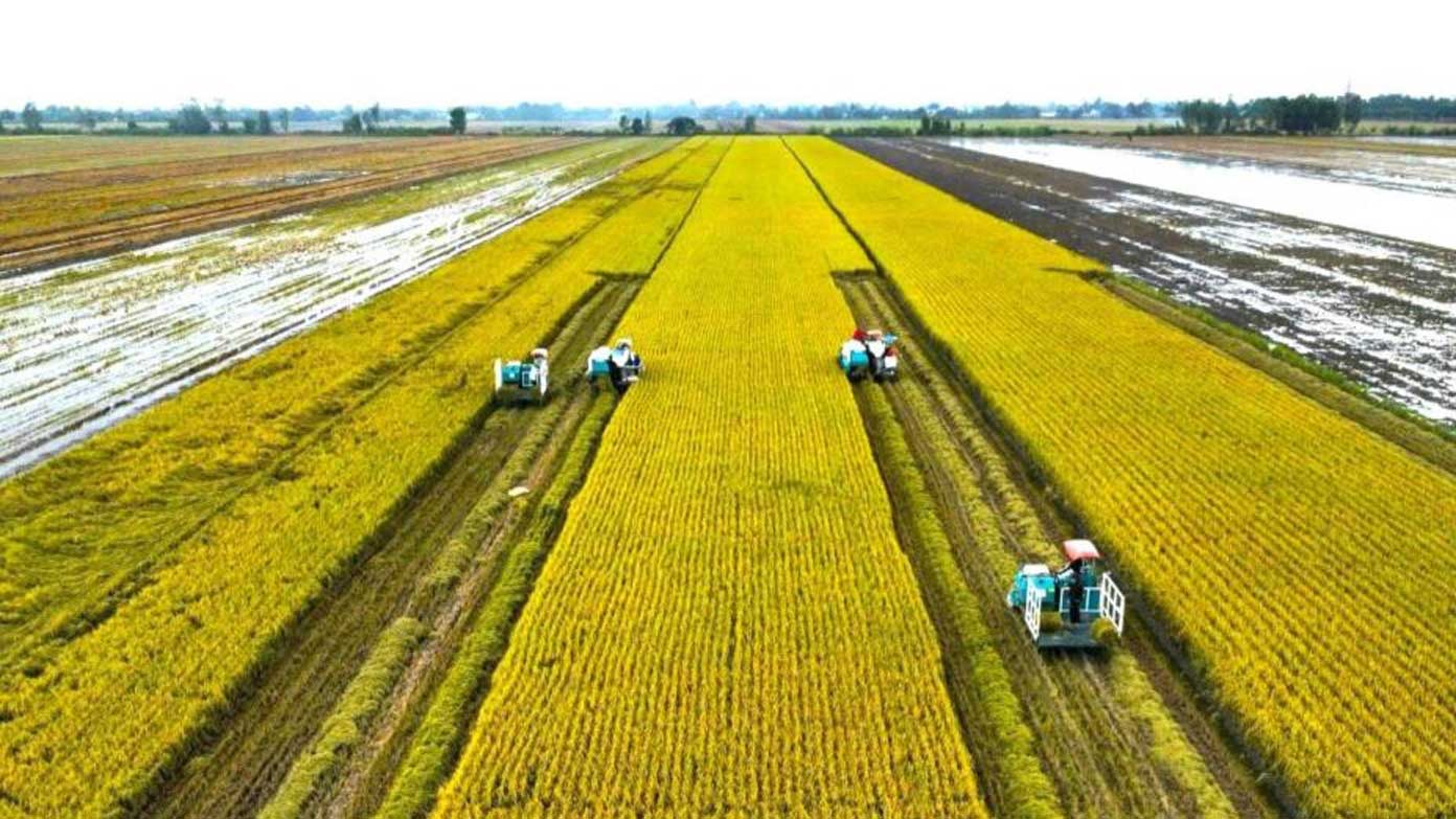 Voters propose directives to improve the value of agricultural land. Photo: Phuong Anh