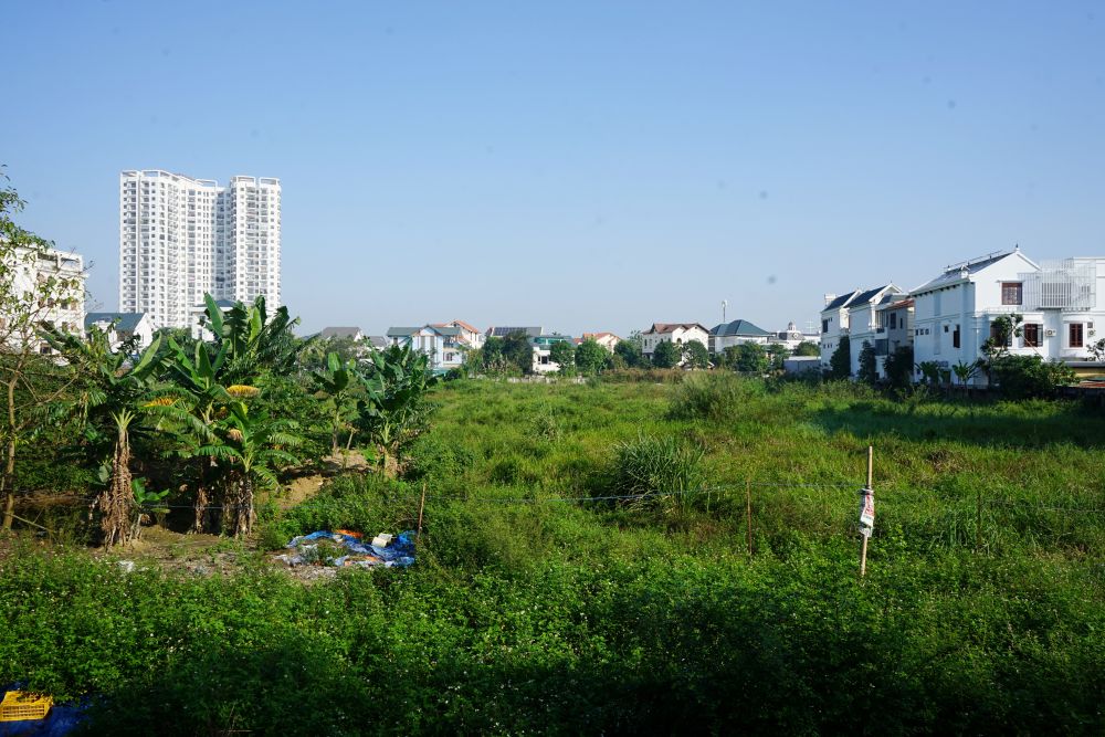 Sau gan 20 nam, du an xay khach san 5 sao cua van chi la bai dat hoang, co dai moc um tum. Anh: Quach Du