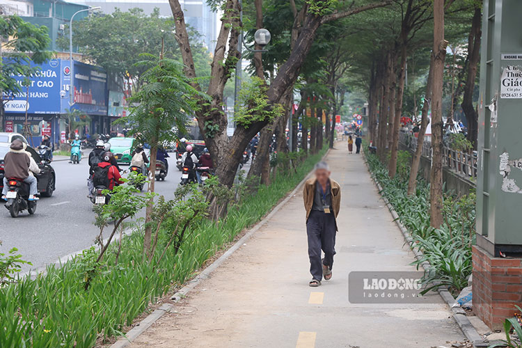 tuyen duong di bo tren pho thai ha tung duoc di vao su dung tu nam 2020