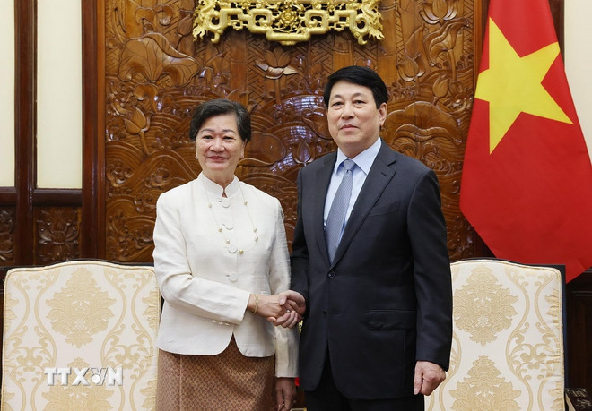Politburo member, President Luong Cuong receives Cambodian Ambassador to Vietnam Chea Kimtha. Photo: VNA