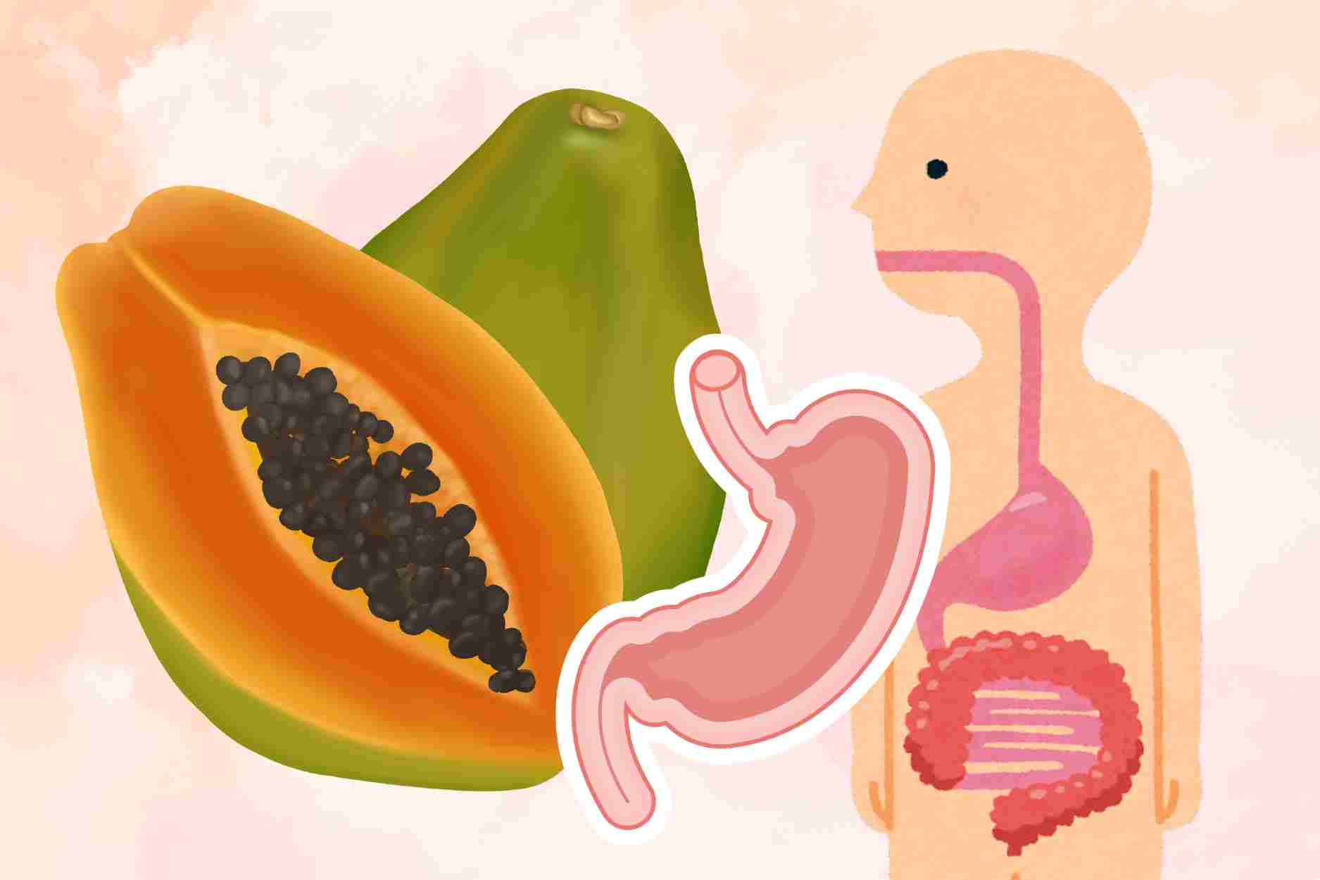 3 reasons to eat papaya for breakfast to have a healthy stomach and increase collagen production