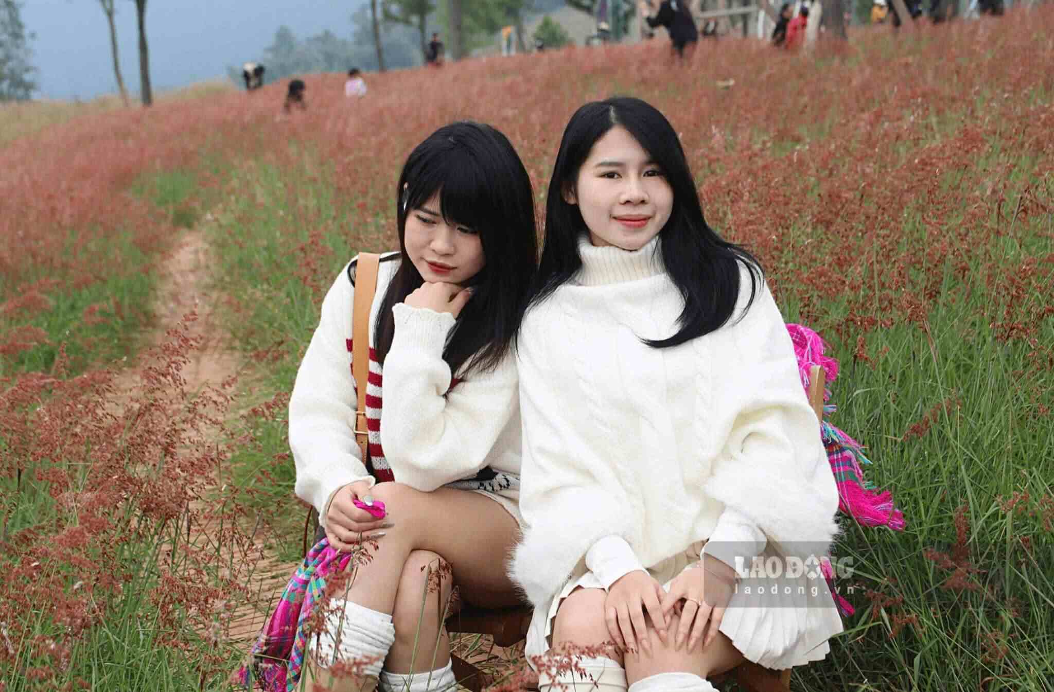 Đồi cỏ hồng ở Hải Phòng. 