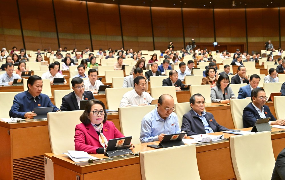 Delegierte bei dem Treffen. Foto: Quang Khanh