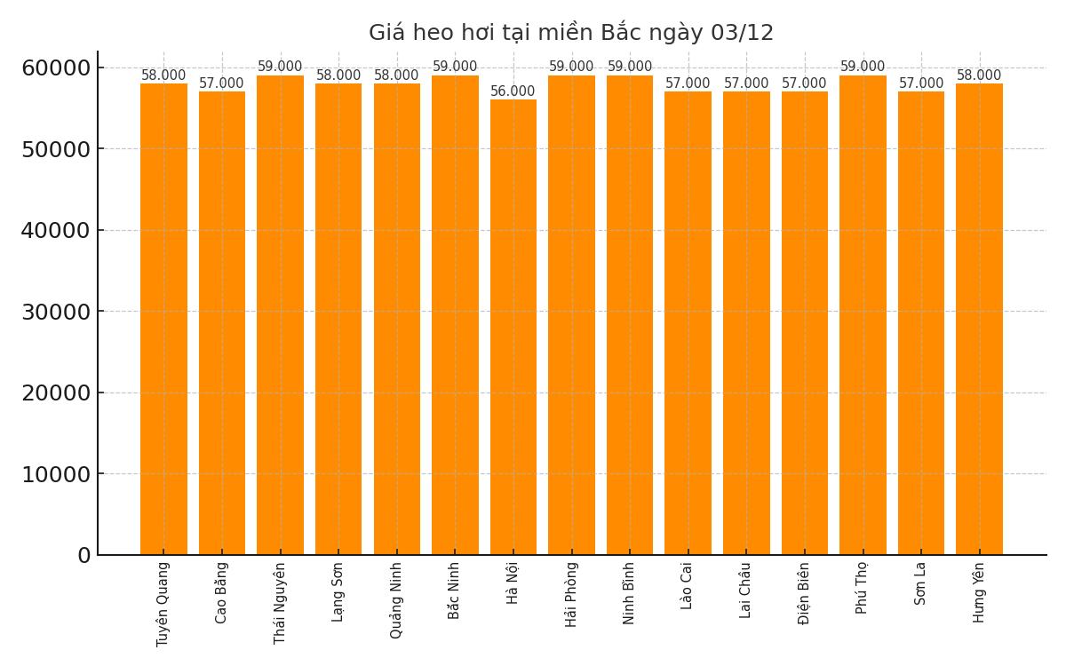 Gia heo hoi hom nay 3.12 tai khu vuc mien Bac. Do hoa: Thuy Linh