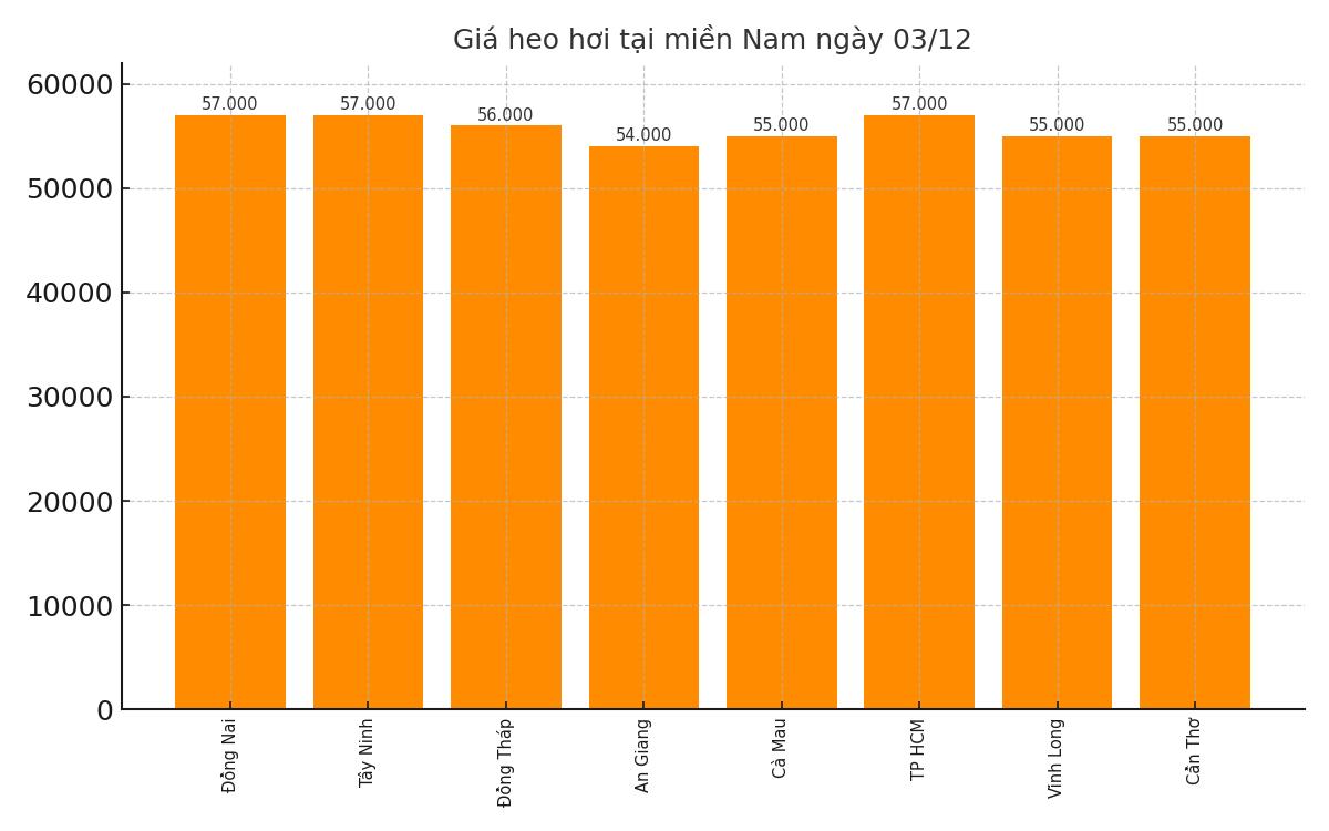 Gia heo hoi hom nay 3.12 tai khu vuc mien Nam. Do hoa: Thuy Linh