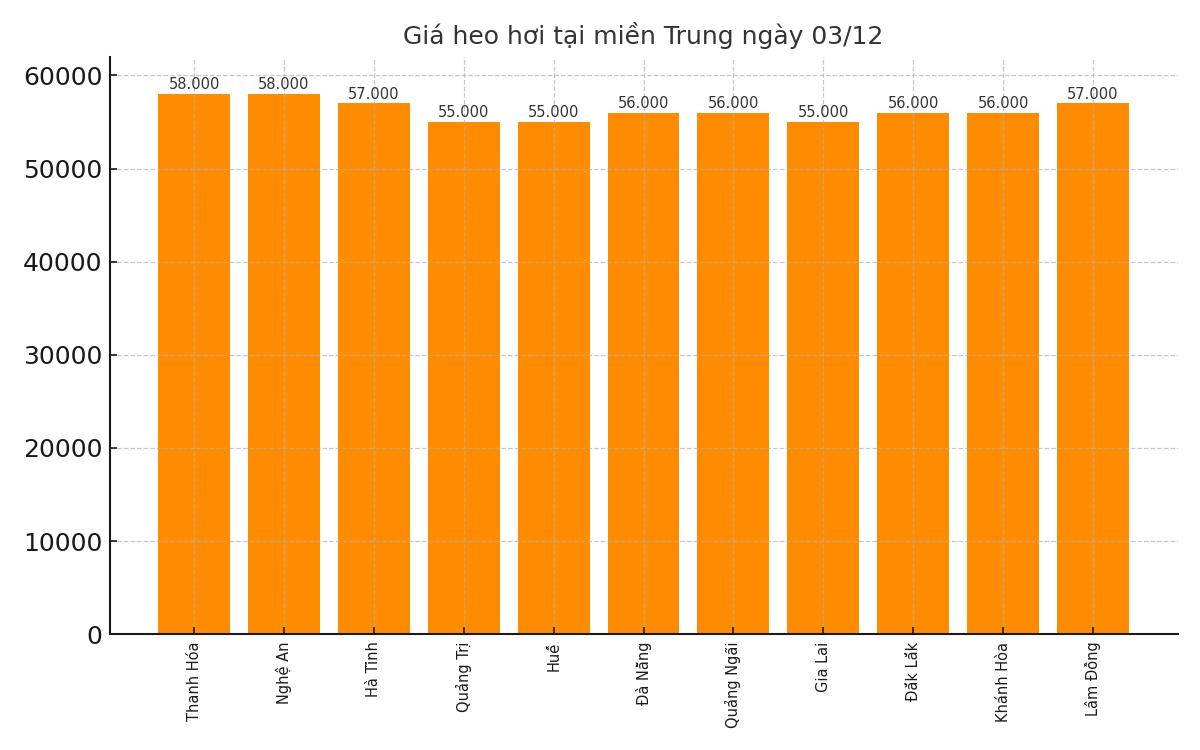 Gia heo hoi hom nay 3.12 tai khu vuc mien Trung. Do hoa: Thuy Linh