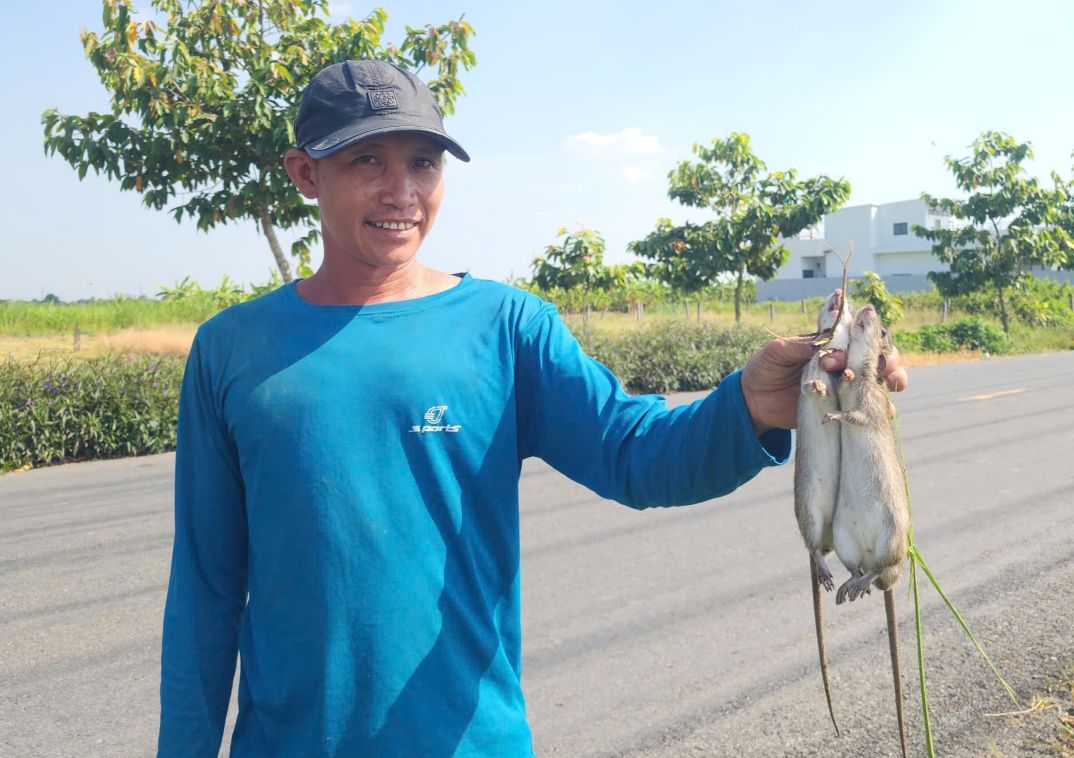 Cam chuot dong tren tay, nguoi dan vui ve sau gio lao dong tren dong. Anh: Tuan Lam