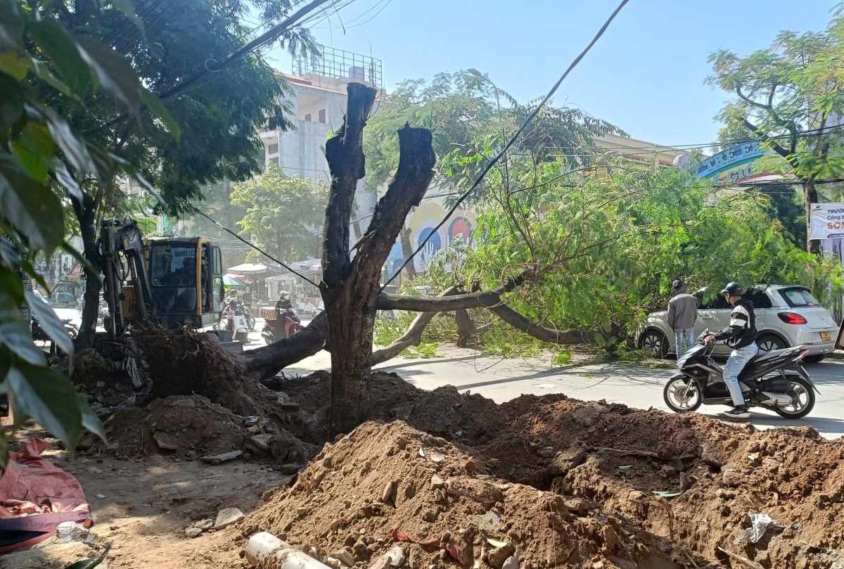 Hai Phong 市 Gia Vien 区 Van Cao 通りの歩道工事。写真: Hoang Khoi