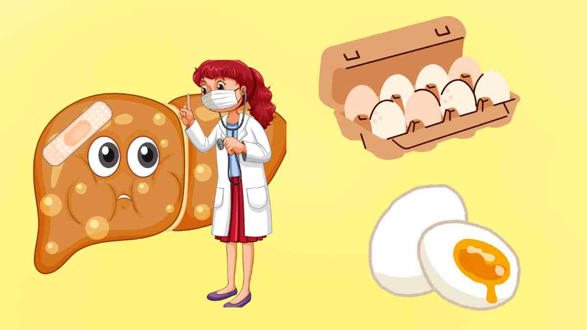 脂質異常症の肝臓