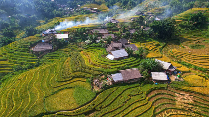 Ruộng bậc thang ở Tả Van (Lào Cai) đang vào mùa lúa chín đẹp mê hồn người. Ảnh: Hoàng Luyến 