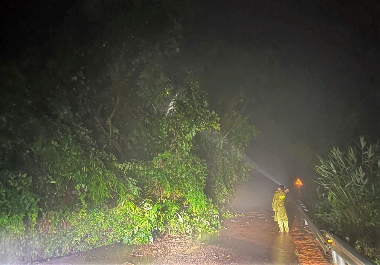 Sat lo, cay rung nga do tai nhieu diem tren deo Gia Bac khien giao thong te liet. Anh: Phuc Khanh