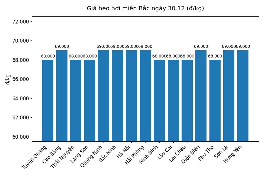 Gia heo hoi hom nay 28.12 tai khu vuc mien Bac. Do hoa: Thuy Linh