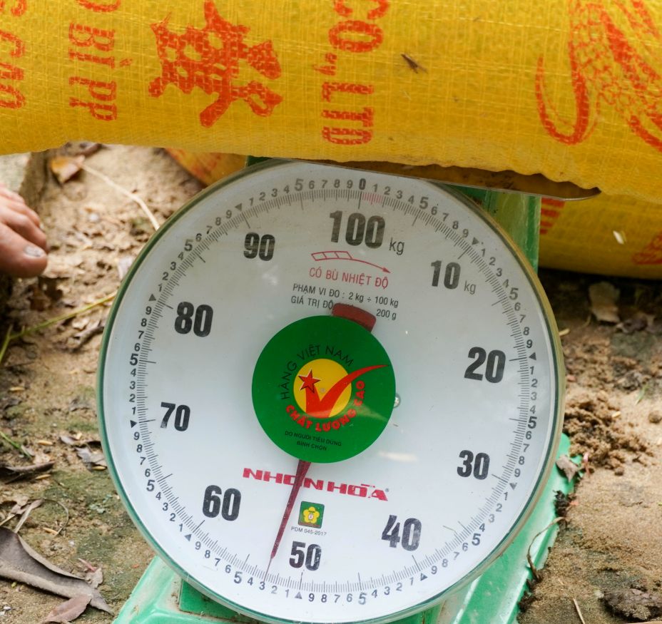 Vu lua nam nay dat nang suat hon 900 kg/cong (1.300m2). Dac biet, toan bo san luong duoc doanh nghiep bao tieu voi gia 9.100 dong/kg, cao hon tu 800 - 1.000 dong/kg so voi gia thi truong ben ngoai.