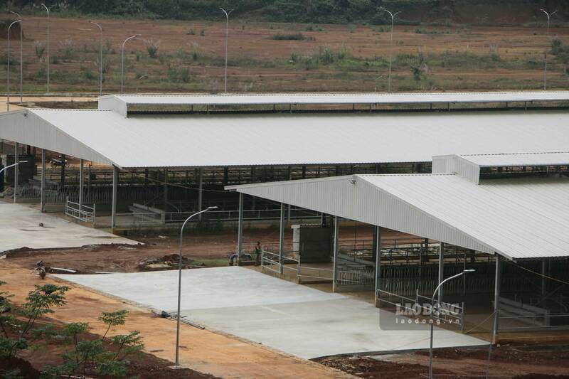 Cac trang trai chua the van hanh theo ke hoach. Anh: Viet Bac