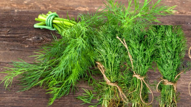 Thyme is a vegetable that enhances the flavor of the dish, few people know that this vegetable also contains a lot of magnesium to help sleep well. Graphic photo: Huong Son