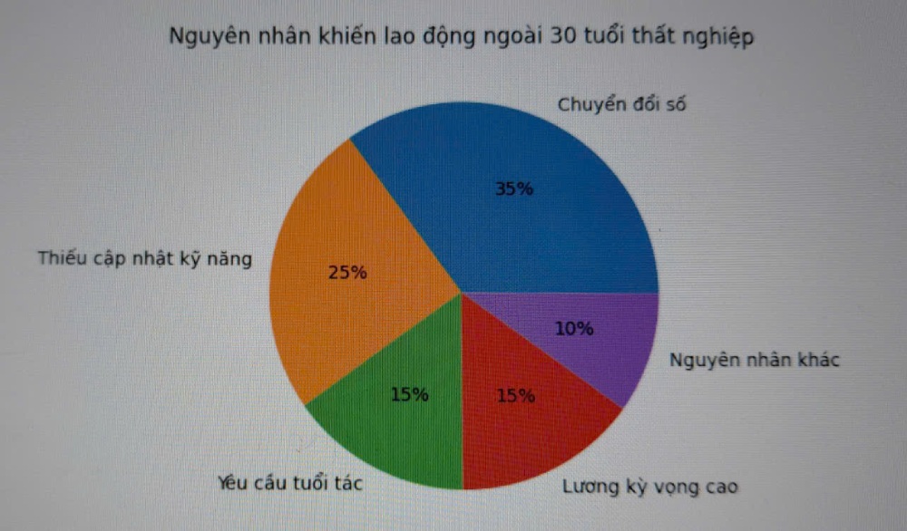 Bieu do ve nguyen nhan khien lao dong ngoai 30 tuoi that nghiep. Anh: Quynh Chi