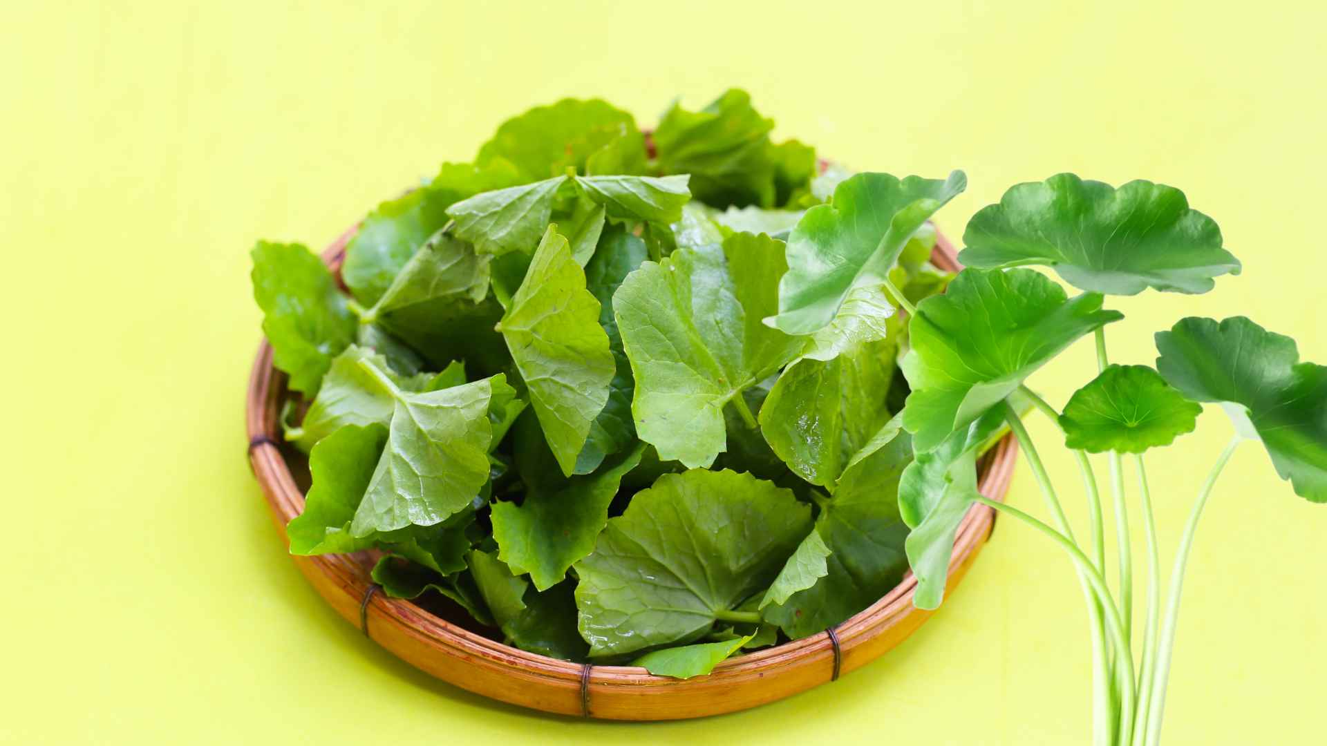 유채는 간 해독에 도움이 될 뿐만 아니라 비타민 C도 풍부합니다. 그래픽 사진: 흐엉선