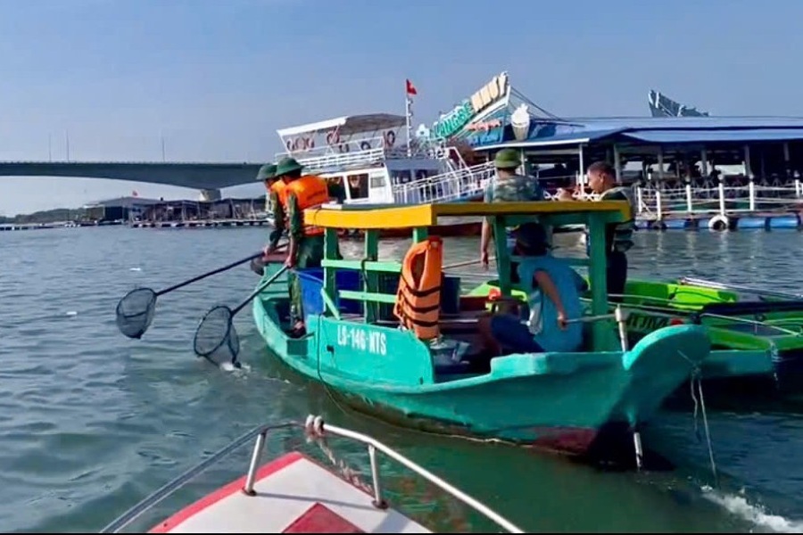 Long Son Border Guard Station forces collect dead fish on the Cha Va River. Photo: Border Guard
