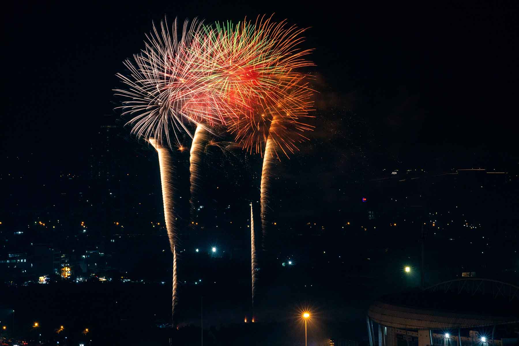 람동, 달랏, 판티엣, 지아응이아 3곳에서 2026년 양력 설날 불꽃놀이. 사진: 하이 응우옌