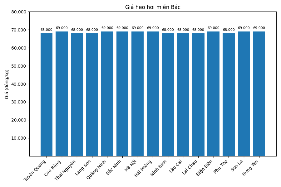 Gia heo hoi hom nay 31.12 tai khu vuc mien Bac. Do hoa: Thuy Linh