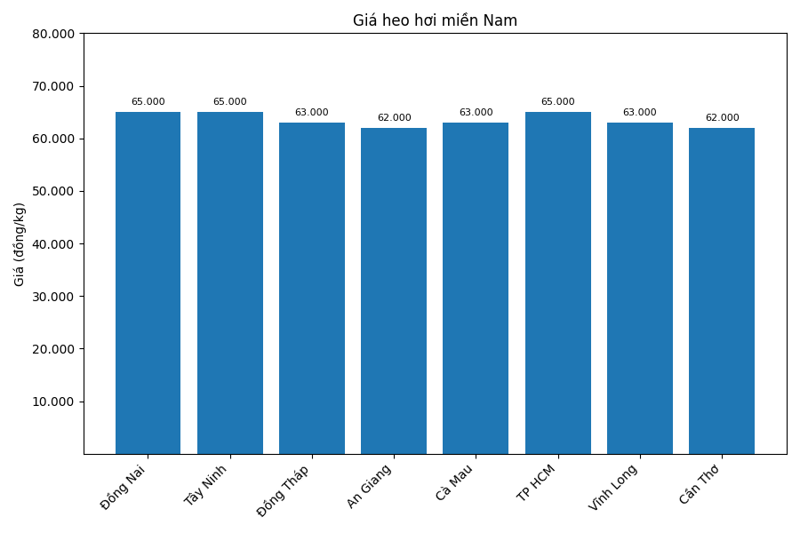 Gia heo hoi hom nay 31.12 tai khu vuc mien Nam. Do hoa: Thuy Linh