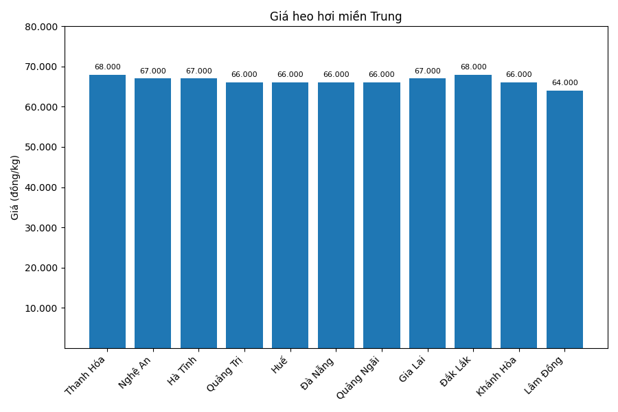 Gia heo hoi hom nay 31.12 tai khu vuc mien Trung. Do hoa: Thuy Linh