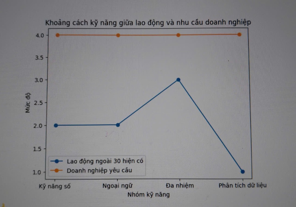 Bieu do ve khoang cach ky nang cua lao dong va nhu cau cua doanh nghiep. Anh: Quynh Chi