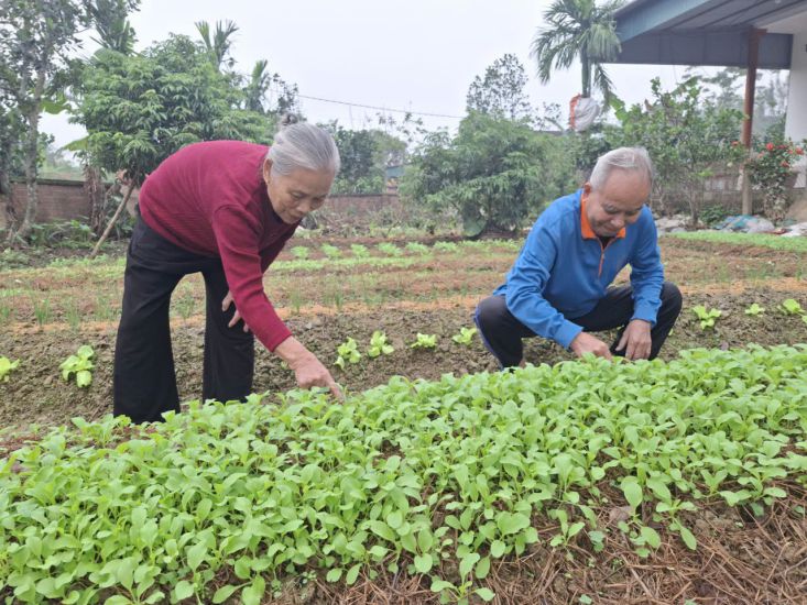 홍수로 인해 침수되고 손상된 후 새로 재배한 채소밭 옆에 있는 Than 씨 부부. 사진: TRAN TUAN