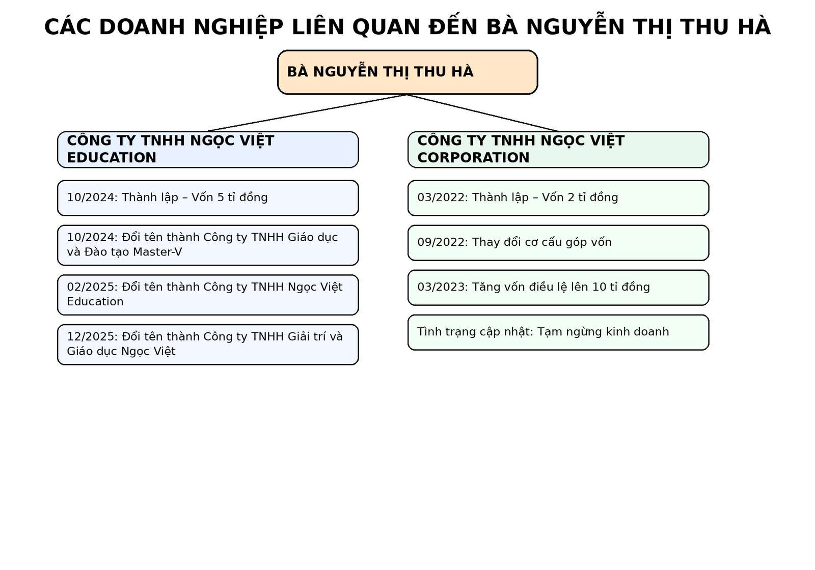 응우옌티투하 씨와 관련된 기업 생태계. 그래픽: 룩장