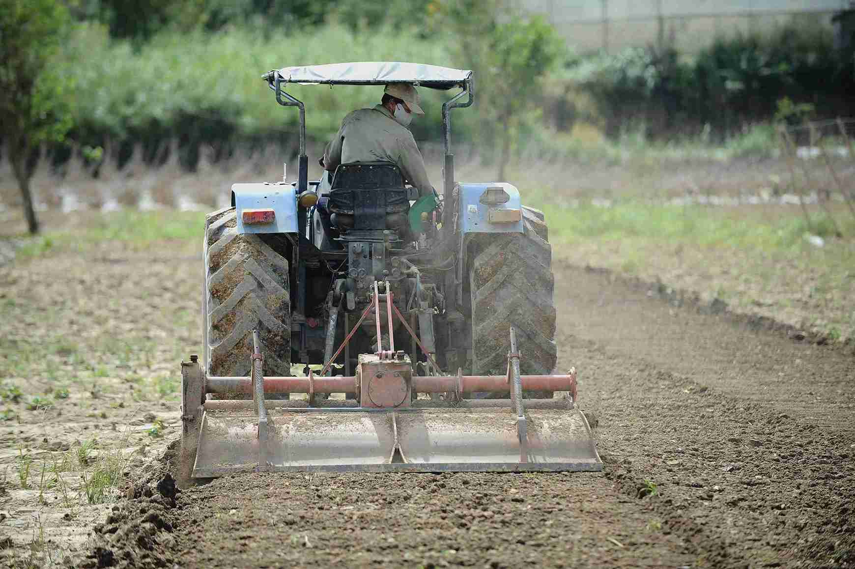 Don Duong la vung rau lon cua tinh Lam Dong va ca nuoc voi hon 2.000ha. Anh: Phuc Khanh 
