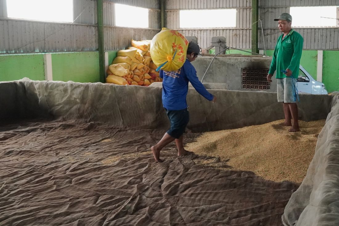 Tu nhieu du an, HTX Nong nghiep Tin Phat duoc ho tro nhieu co so ha tang, trong do duoc  dau tu nha kho phuc vu cho viec say, bao quan va tieu thu lua cua ba con xa vien duoc de dang, thuan loi. Anh: Phuong Anh