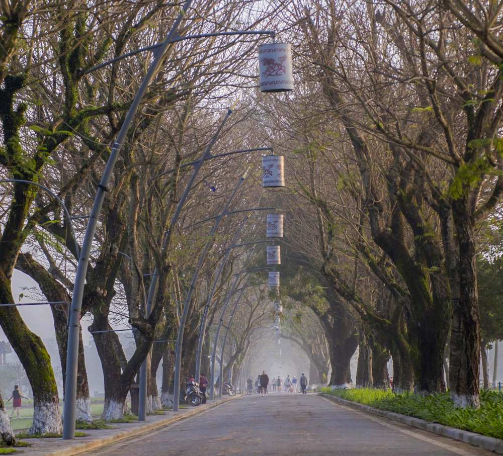 Cac cung duong quanh Hoang Thanh Hue chim trong suong mo, cang cam nhan ro hon ve khong khi hao huc cua nam moi.