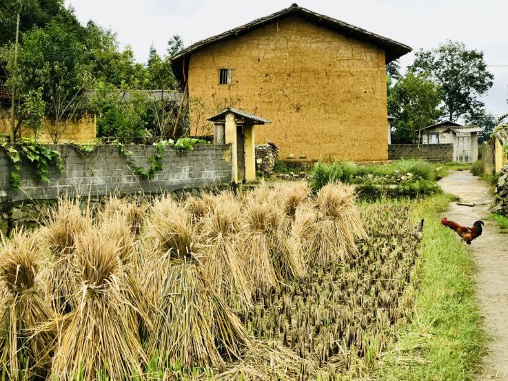 Ve dep thon Lo Lo Chai. Anh: Ky Lam