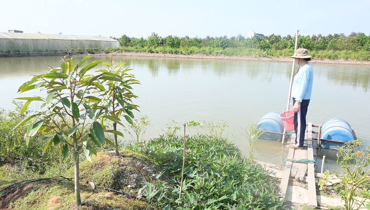 Nguoi dan o tinh Dong Thap tich tru nuoc trong ao de tuoi cay khi han man xay ra. Anh: Thanh Nhan